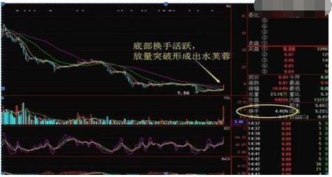 換手率高的股票背后的故事，揭示日常趣味與深意