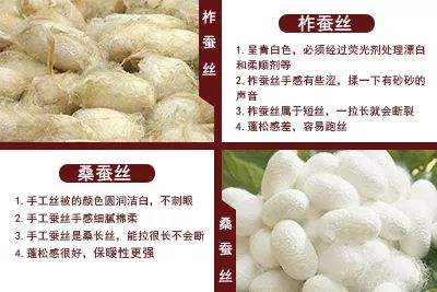蠶絲價(jià)格行情詳解，如何把握市場(chǎng)走勢(shì)與了解價(jià)格動(dòng)態(tài)