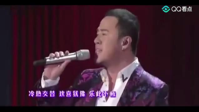 火歌最新，小巷深處的獨(dú)特音符