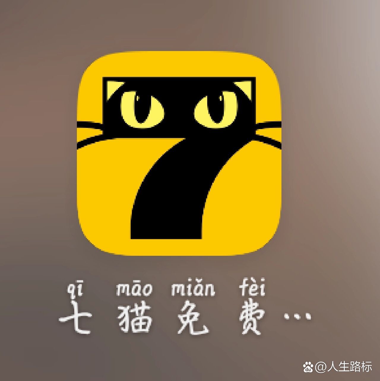 七貓最新，現代養(yǎng)貓新趨勢與知識探索