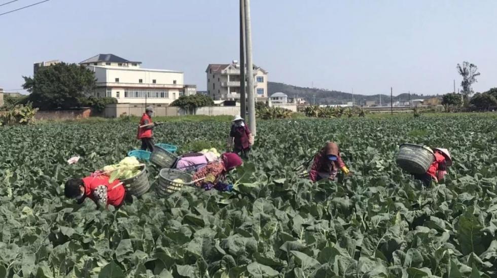 市政公用工程施工 第9頁