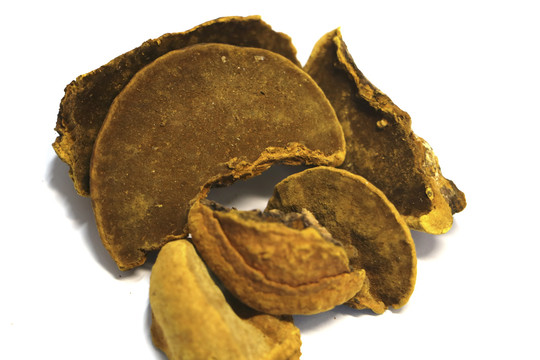 桑黃最新，小巷深處的獨(dú)特風(fēng)味美食