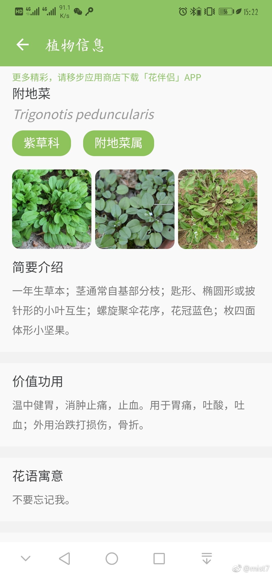 最新地霍，觀點的碰撞與探討盛會