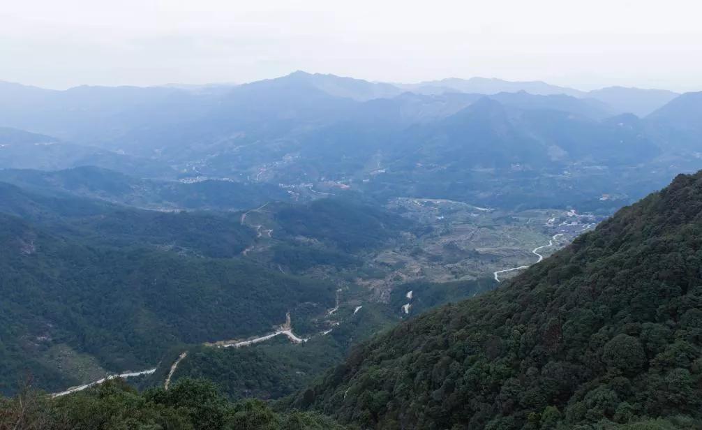 揭西最新網(wǎng)，溫馨日常故事集結(jié)地