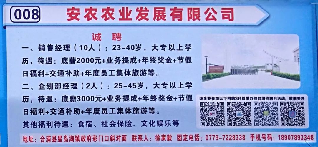 合浦縣城最新招工信息，科技革新助力智能生活招聘啟航