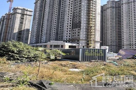 濟(jì)寧西雅圖最新動(dòng)態(tài)更新????（最新消息匯總）